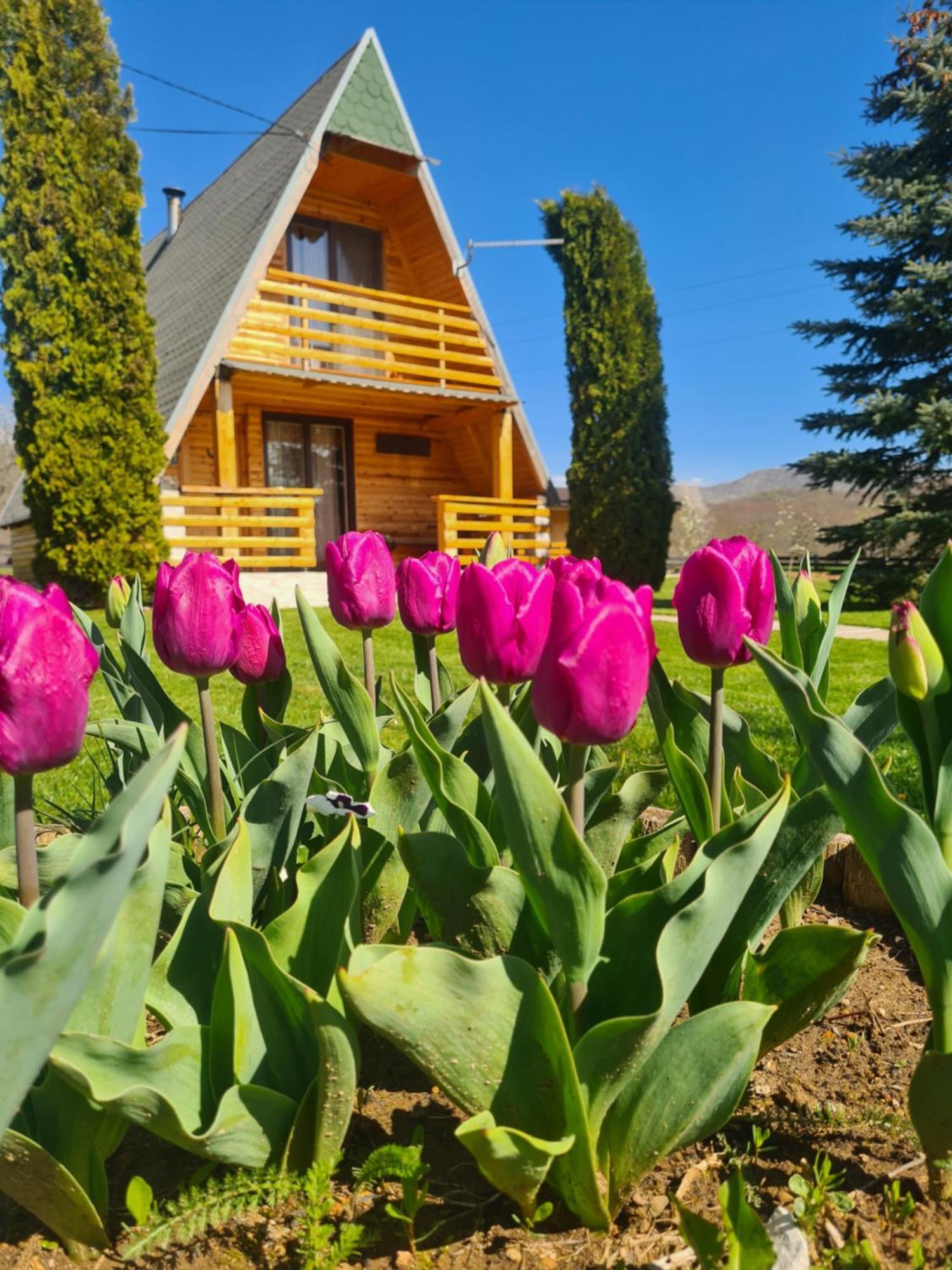 Chalet Velebitska Kuca Velika Plana Экстерьер фото