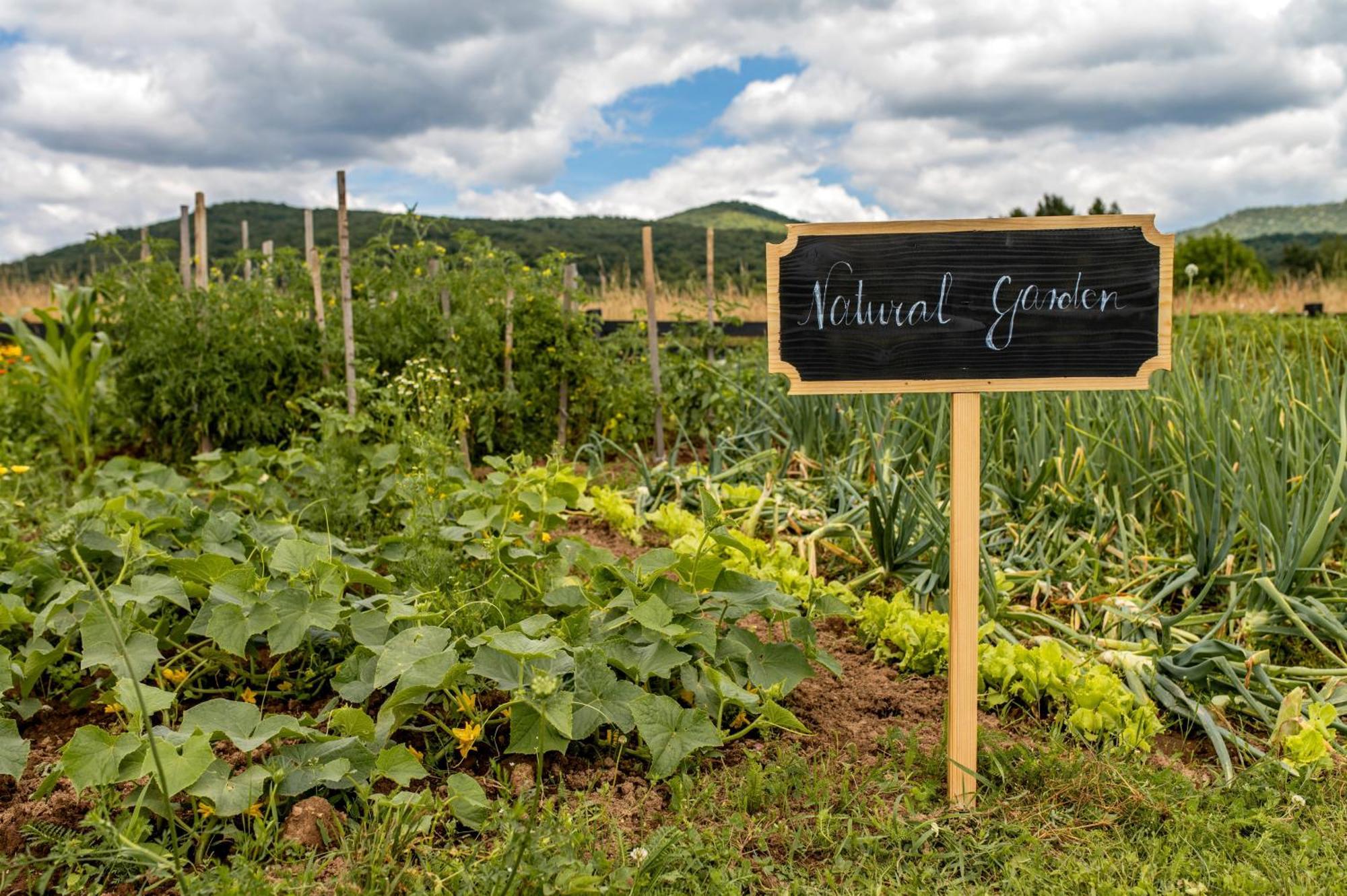 Chalet Velebitska Kuca Velika Plana Экстерьер фото