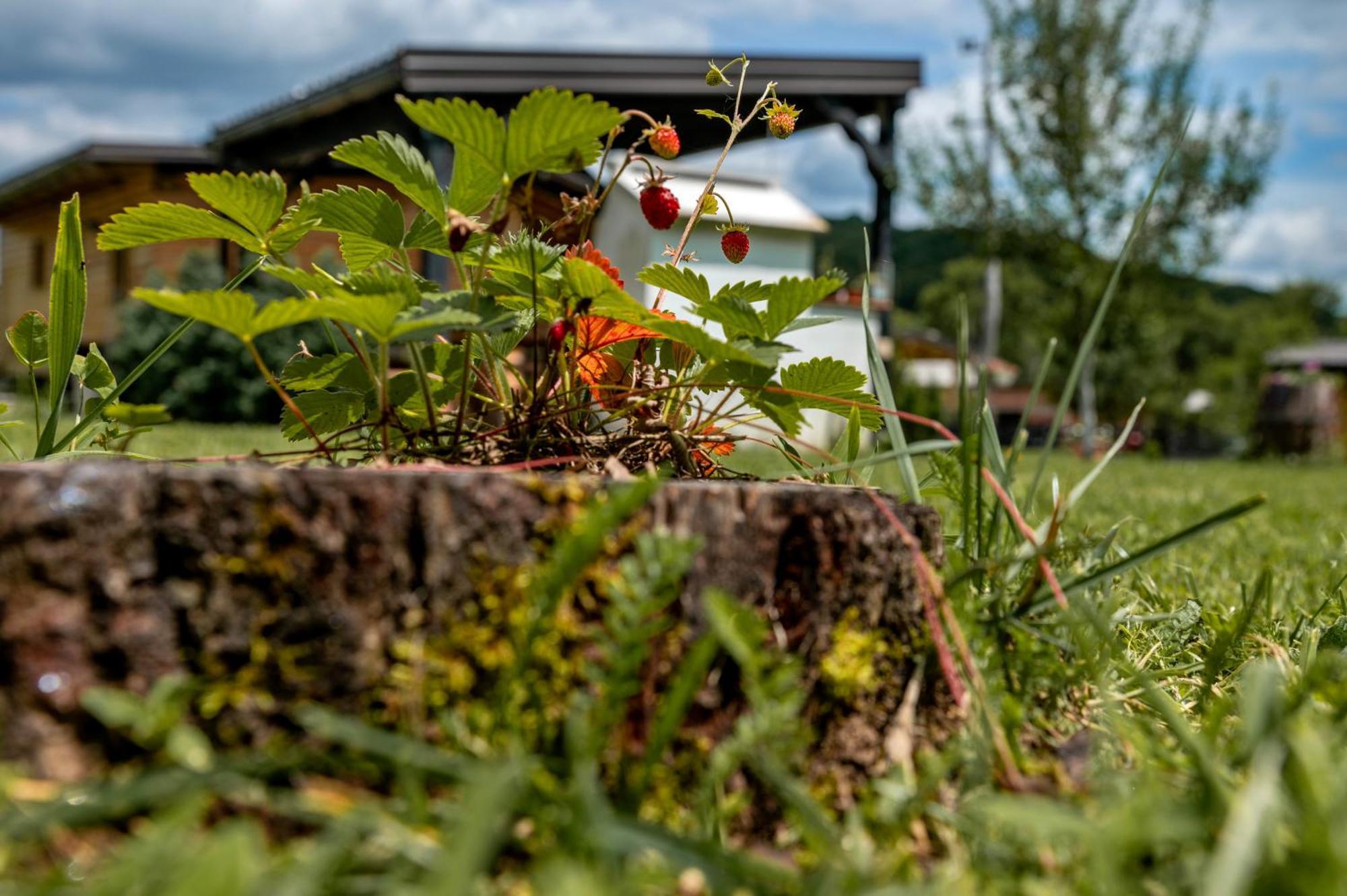 Chalet Velebitska Kuca Velika Plana Экстерьер фото